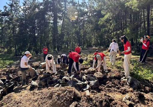 317f8e5aef46183140cc04a76cba1d19